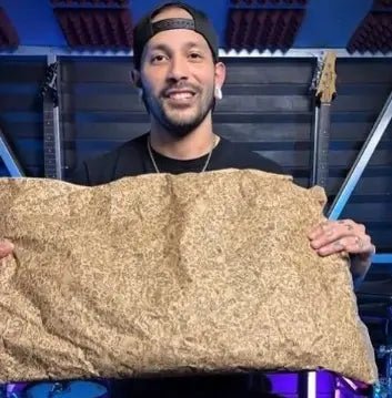 How Collaborations Work at Above Average Clothing: A Practical Guide for Creators and Brands - Above Average Clothing