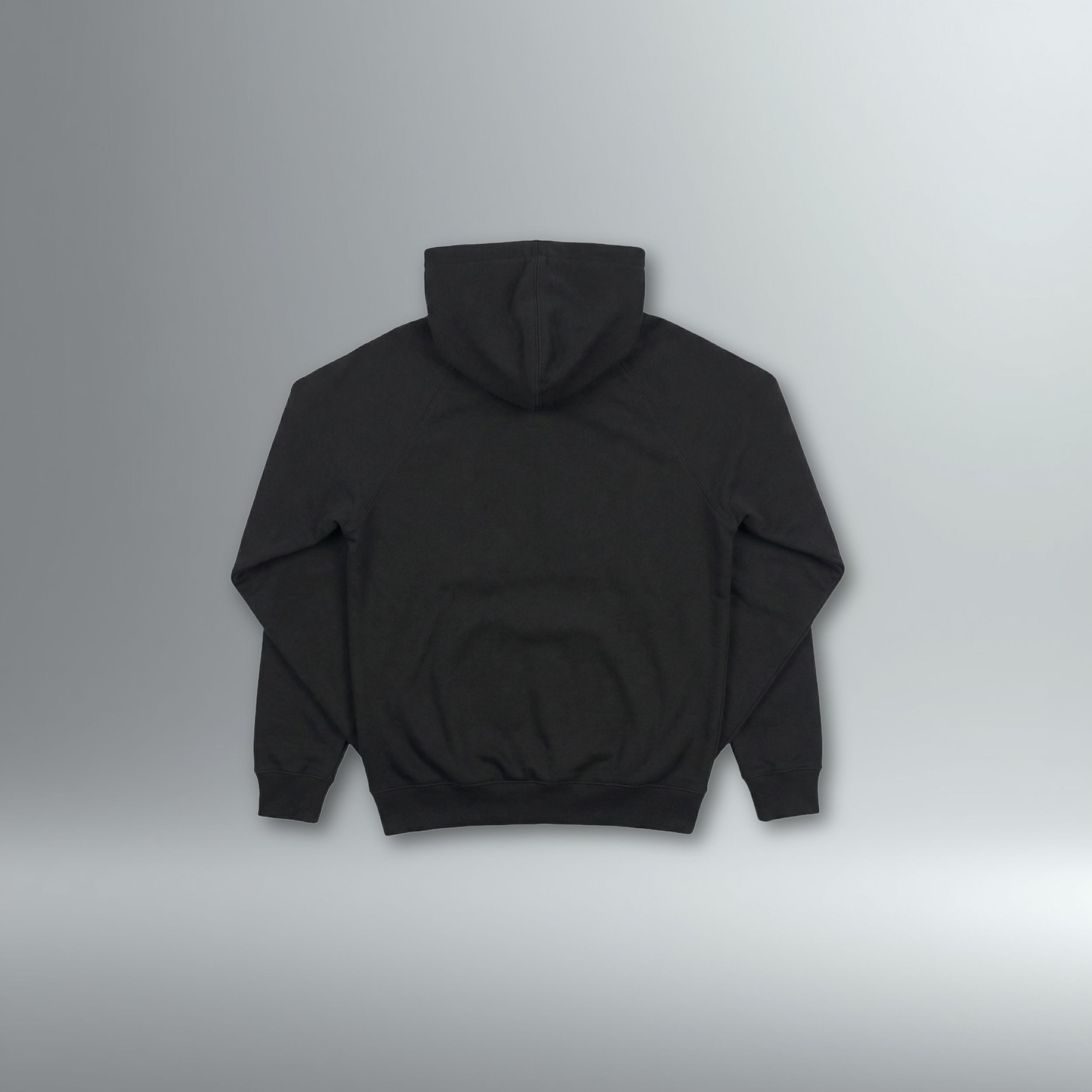 CATALYSTS Dual Mark Hoodie