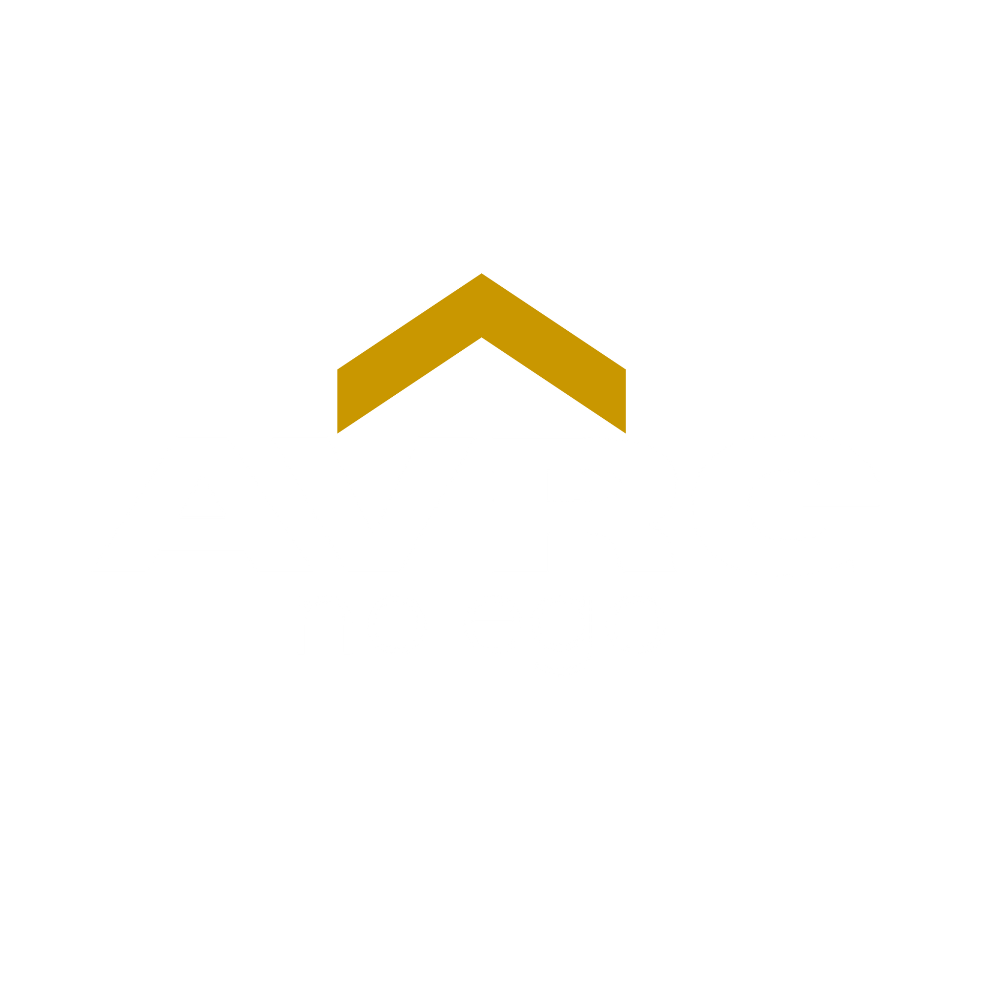 Above Average Insights logo representing mindset, sustainability, and modern music culture