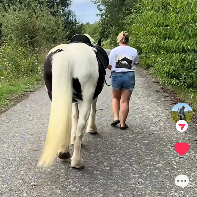 above average collaborator aimee equestrian with her horse stan