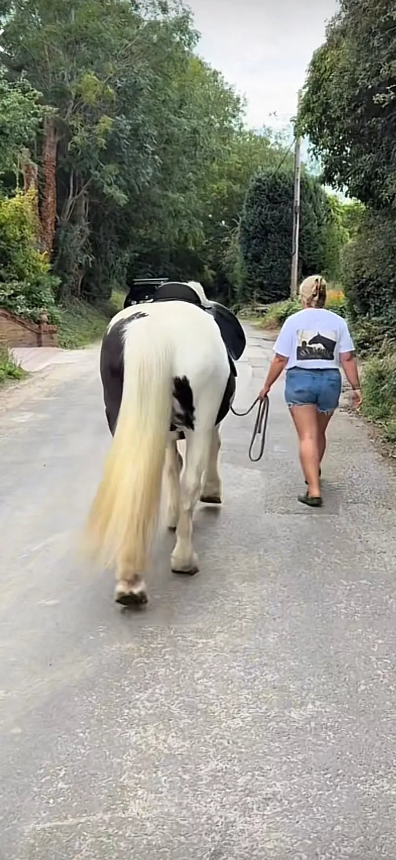 aimee walking her horse Stan. She is wearing her Above Average EQSTRN tee