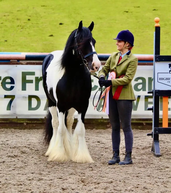 above average collaborators lily and stan competing